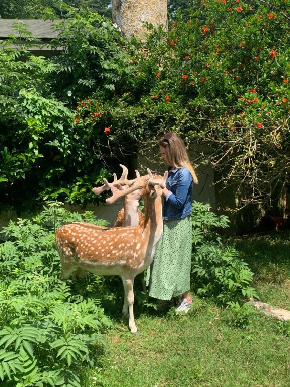هتل پولونزکوی کانتری کلاب و آکومودیشن این د وایلدلایف پارک Polonezköy Country Club & Accommodation in the Wildlife Park!