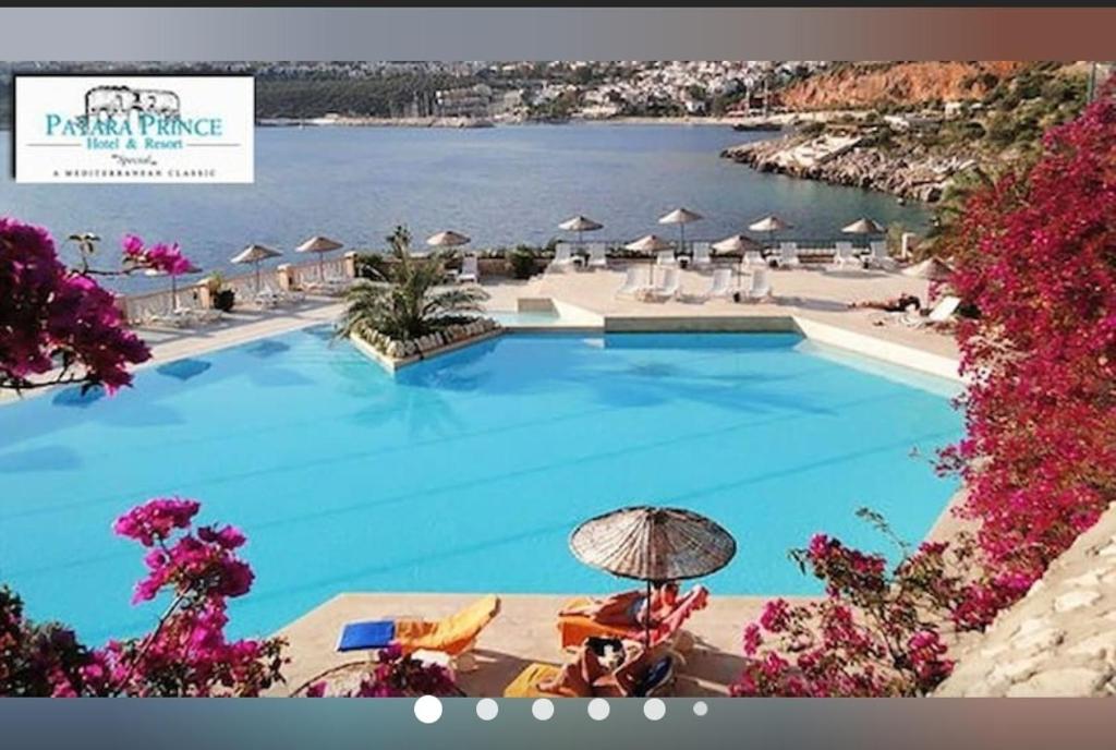 هتل سیویو هالیدی هوم Seaview holiday home