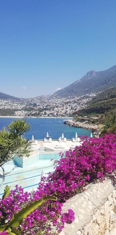 Seaview holiday home