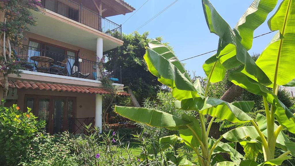 Seaview holiday home