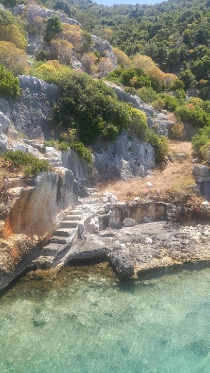 Seaview holiday home