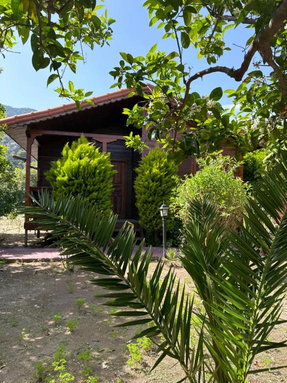 هتل ساحل پانسیون بانگالو Sahil pansiyon bungalow