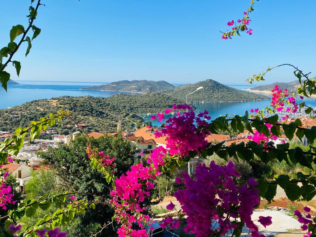 هتل کاش هومز 5 - Kaş Homes 5