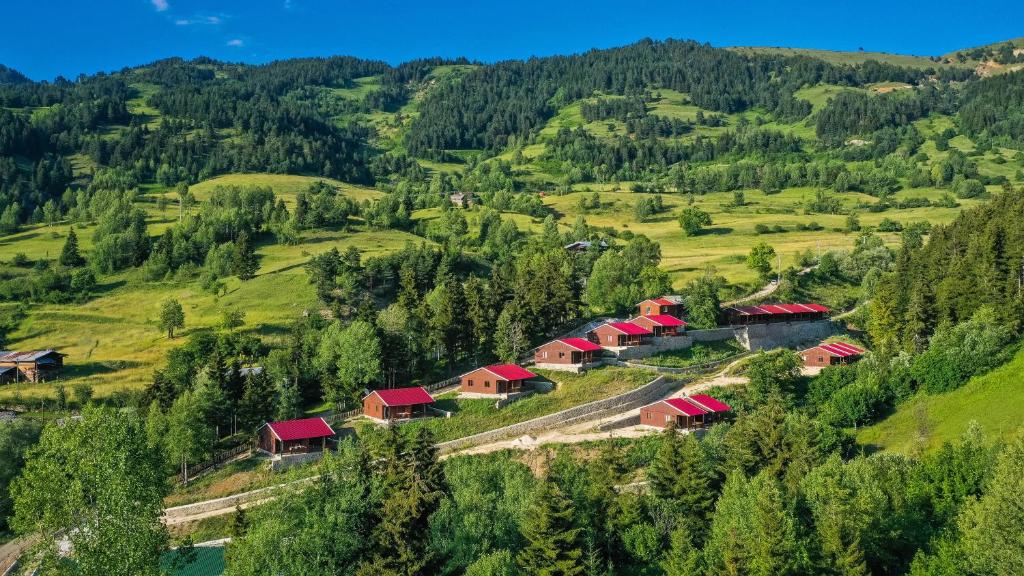 هتل Danzot Tatil Köyü (Chalet), Artvin (Turkey) Deals