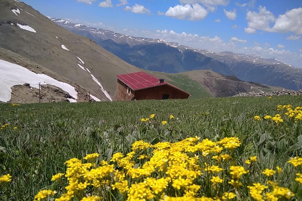 می گروراş هتل و رستوران-کارستر یایلاسی MiGRORAŞ OTEL&RESTAURANT-KARESTER YAYLASI