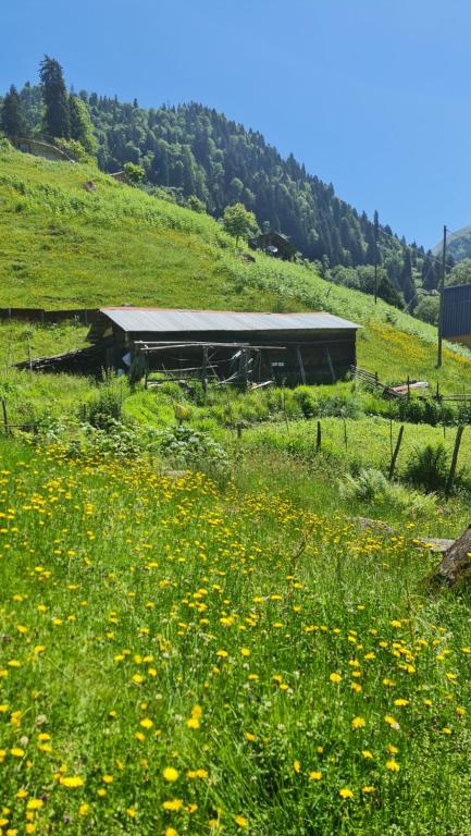 هتل یِیلا بُنْگَالُوف - Yayla Bungalov