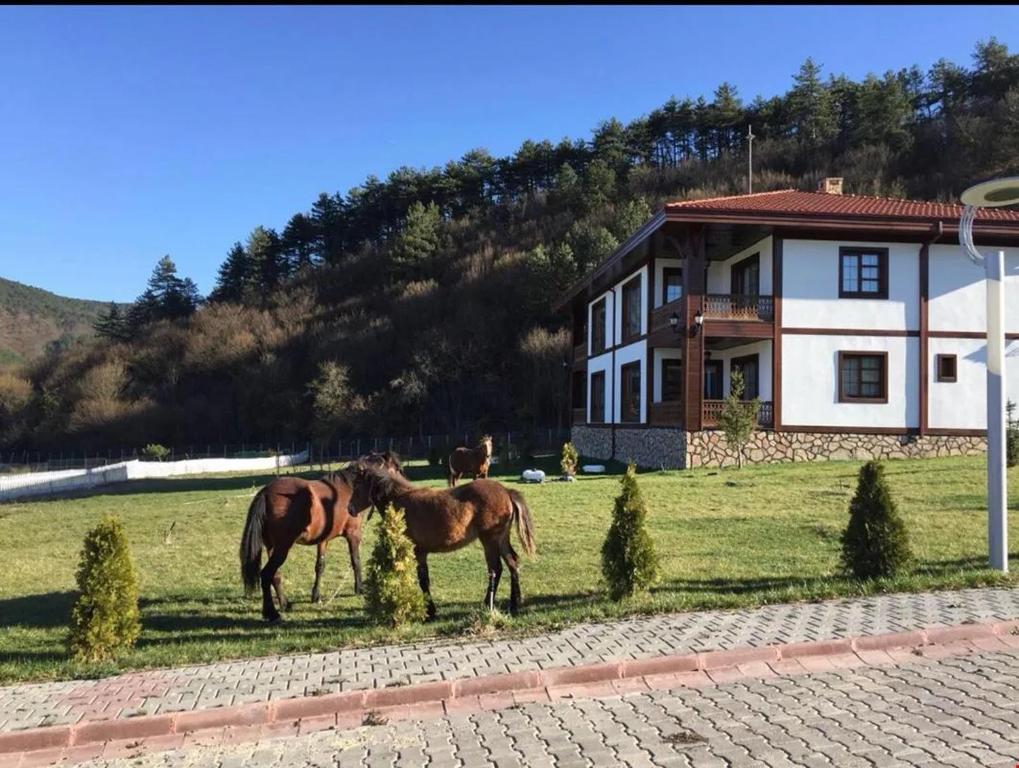 هتل Mengen Rüya Çiftliği (Hotel), Babahızır (Turkey) Deals