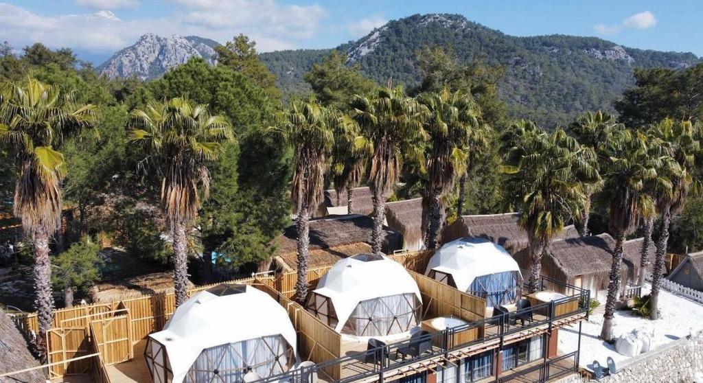هتل ذ هیلال گلمپینگ چیرالی - The Hill Glamping Çıralı
