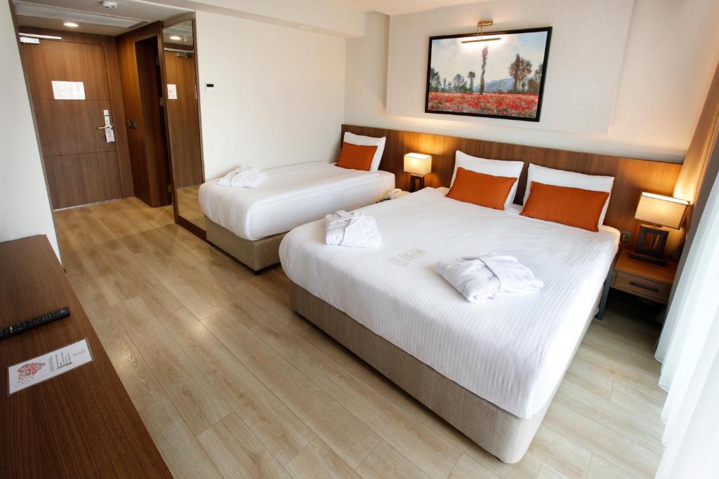 Kazdağları Allia Thermal Health & Spa