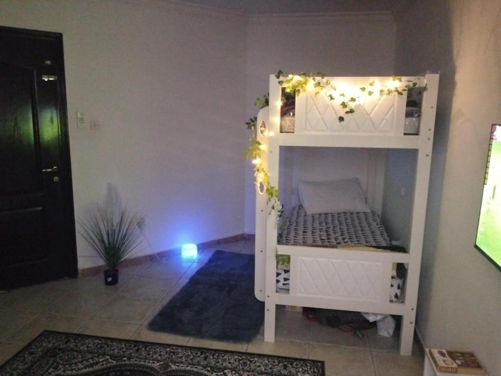 هتل زد هاستل (میکس شر استودیو) ZED Hostel (Mix Share Studio)