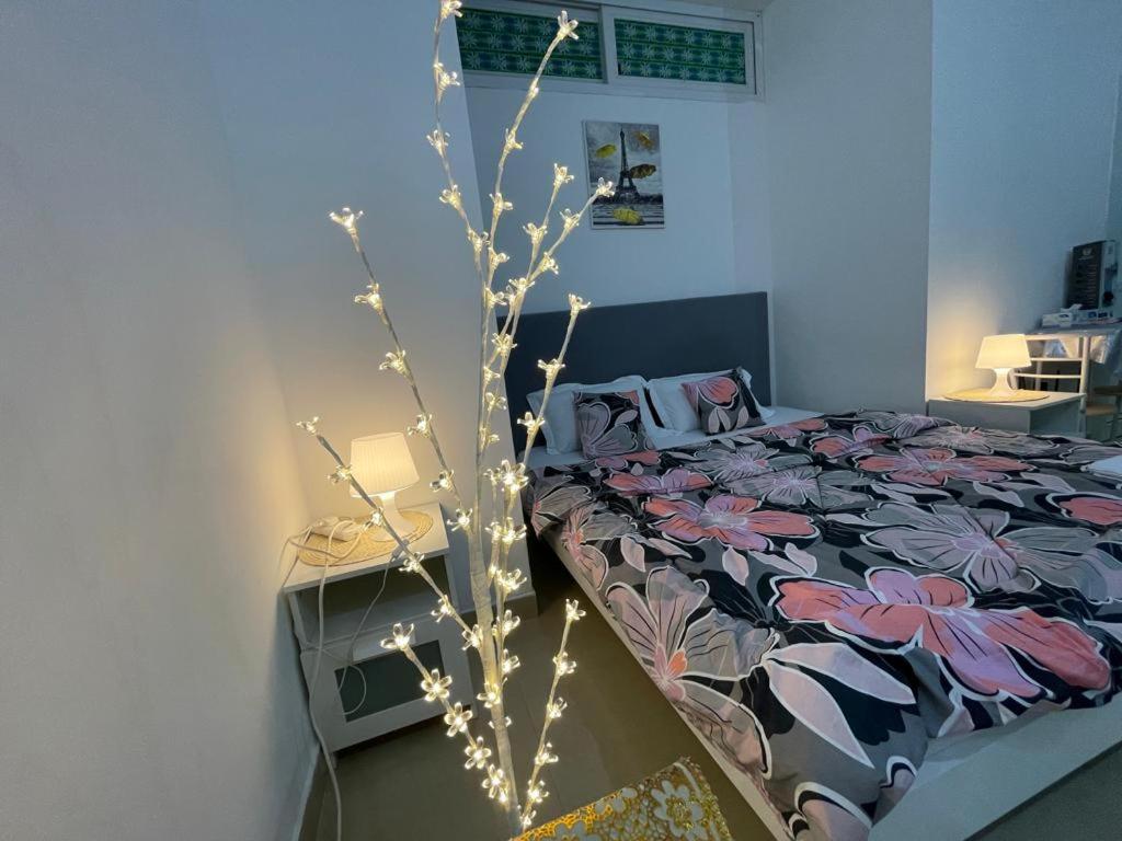 هتل پرایوت کُزی فرنشِد استودیو نو 14 خالدیه پارک ویلا ابوظبی امارات متحده عربی Private Cozy Furnished Studio no 14 Khalidiya Park Villa Abu Dhabi UAE