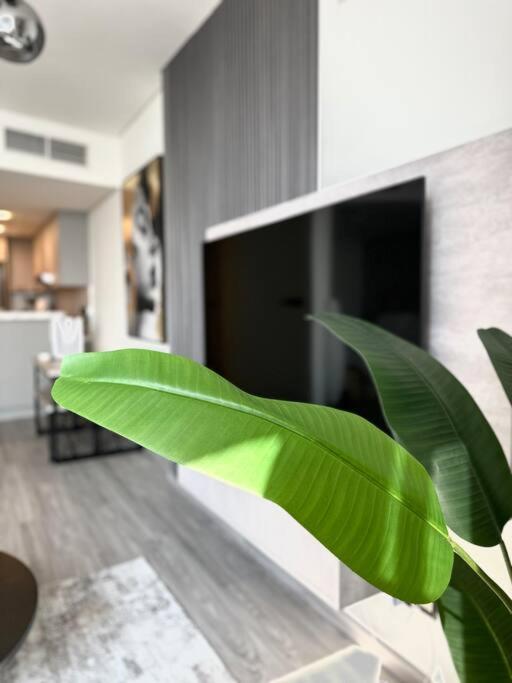 Amazing Modern Spacious Studio at Sky Gardens DIFC