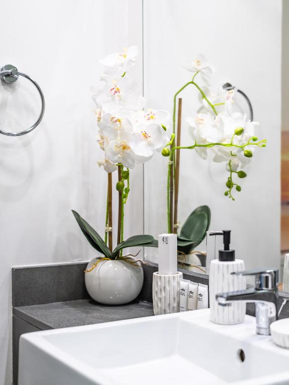 Incredible Studio in Bloom Heights - JVC
