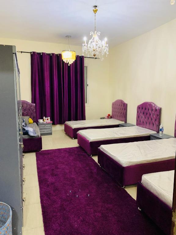 هتل شقه کامله فور رنت شقه كاملهFor rent