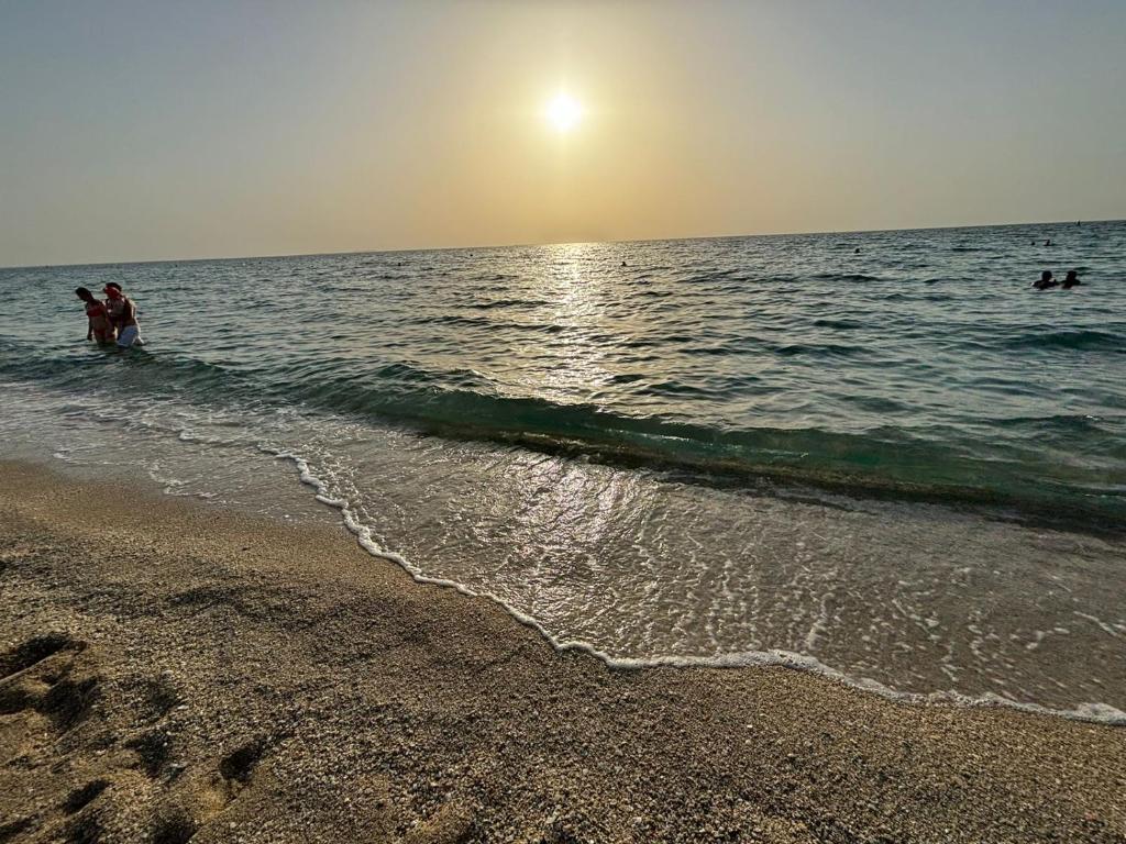 هتل ال سی 22 - الگان تکی بی آر وید بیچ اکسس این لا کات بیلدینگ - LC22 - Elegant 1BR with beach access in La Cote Building