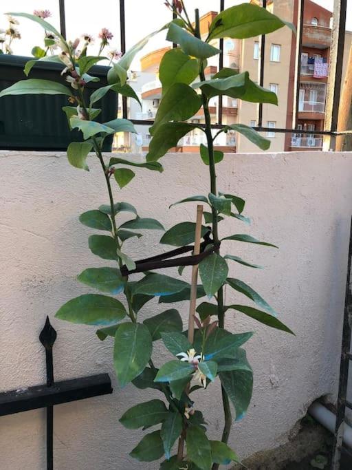 Personal Villa 5 minutes to Pier