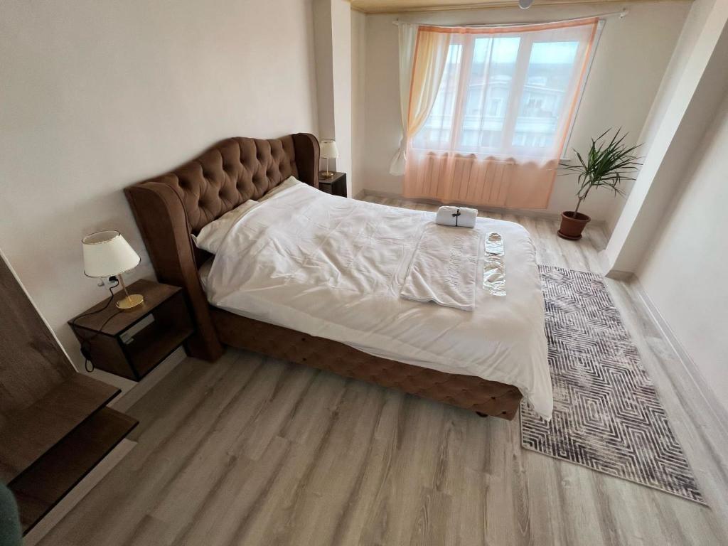 Forest kral suit
