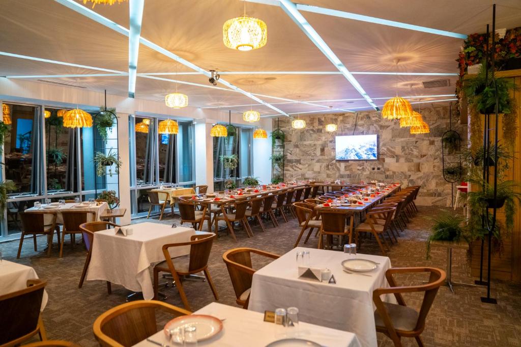 هتل هالی اتل - HALLEY OTEL