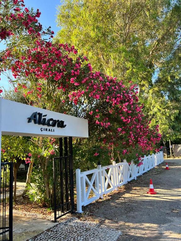 آلیکرا هتل چیرالی - Alicra Hotel Çıralı