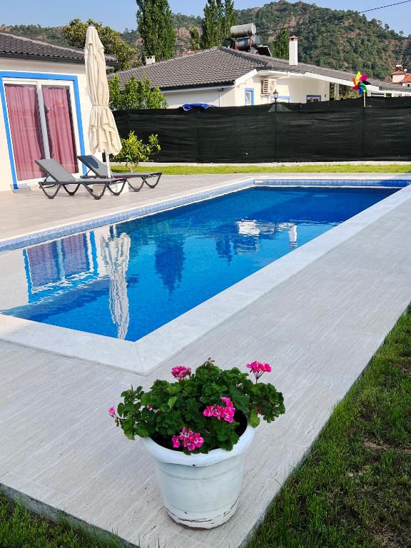 هتل ویلا جم پارک اورتاجا دو هاووزلو مستکيل کرناکلی - Villa Cempark Ortaca'da Havuzlu Müstakil Korunaklı