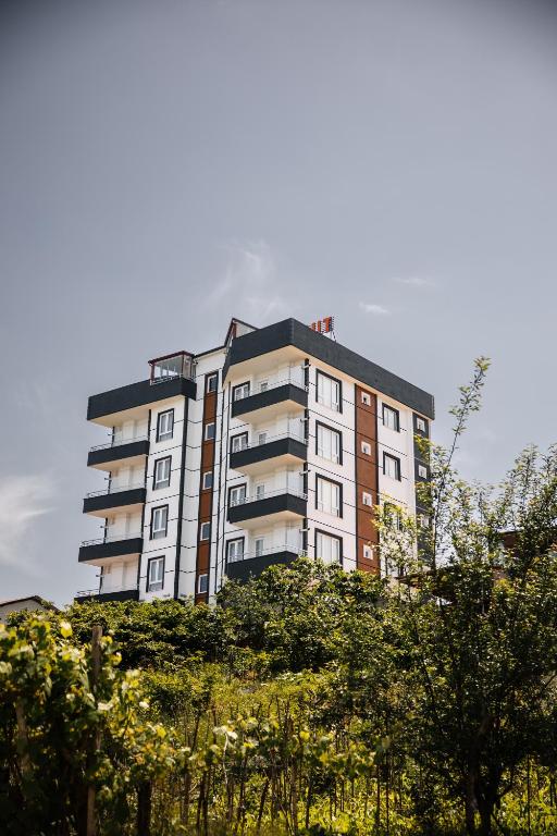 هتل متهان سوییت آپارت METEHAN SUİT APART