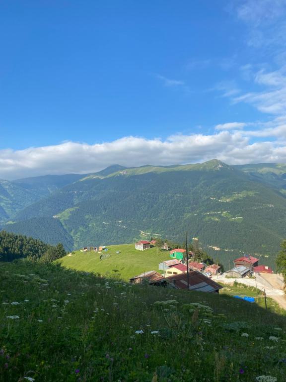 Kalispera Apart Otel