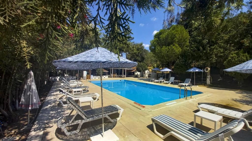 هتل تروپیکانا Hotel Tropicana