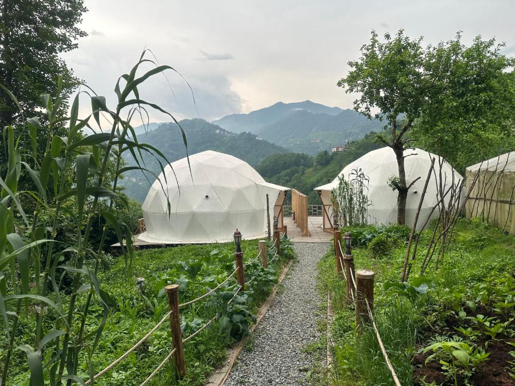 هتل لیمخانه دوم - شالت LİMKHONA DOME - CHALET