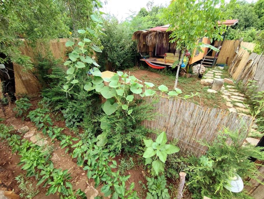 هتل تاینی هاوس وجیذ کاکوی جنگل کمپینگ - Tiny House Ceviz Kayaköy Jungle Camping