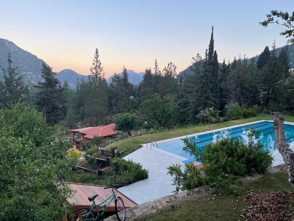 هتل ترینییس فورست بنگالوز Trinitys Forest Bungalows