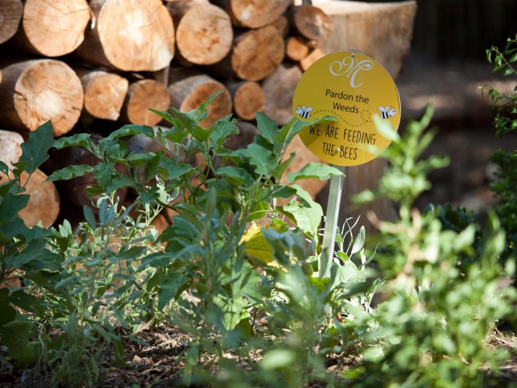 Retreat at Waterfall Valley