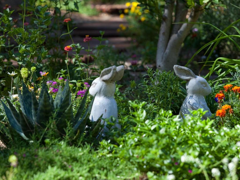 Retreat at Waterfall Valley