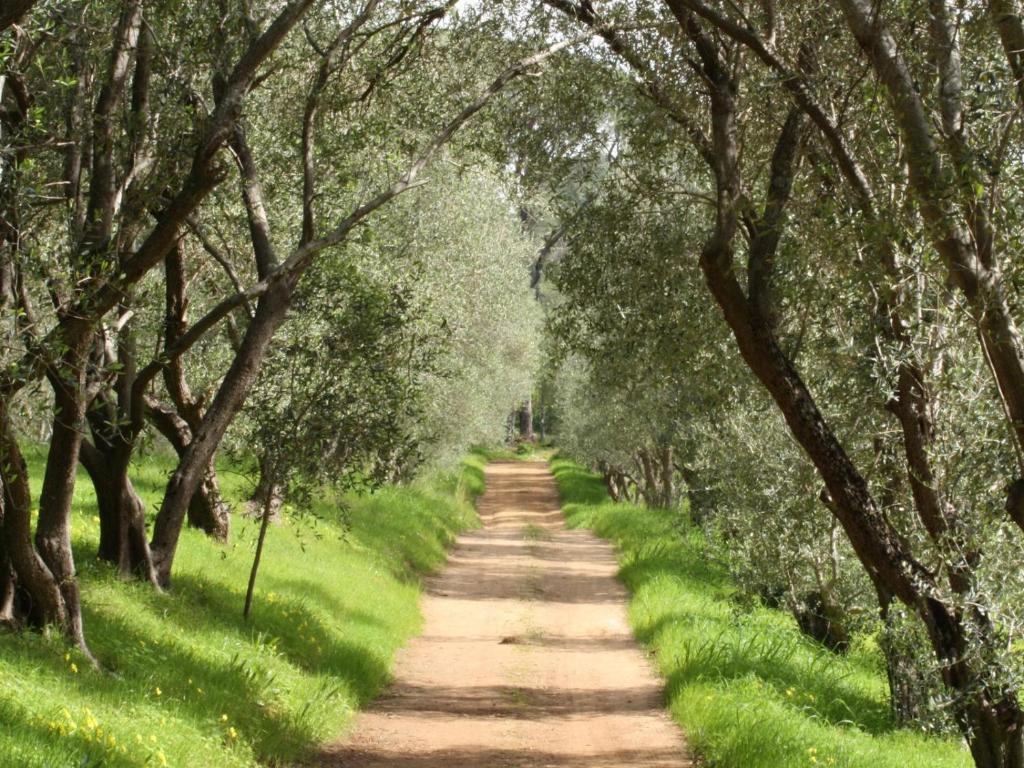 Retreat at Waterfall Valley