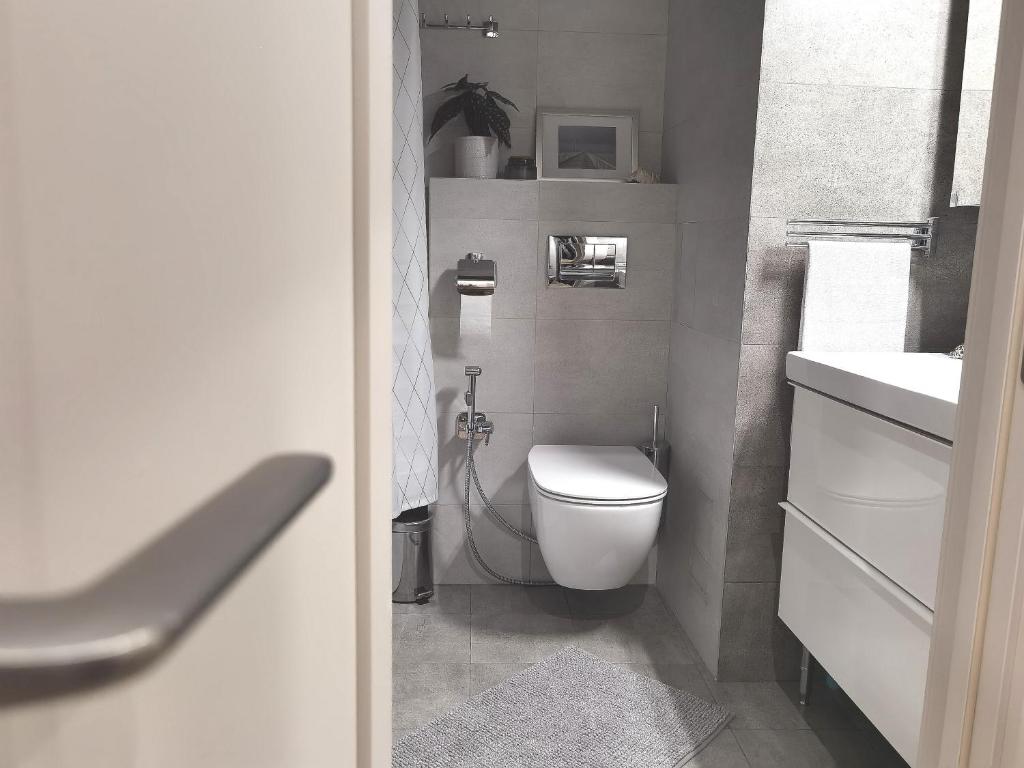 Voyager в Олимпийском парке