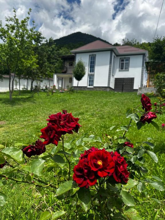 هتل قفقاز اسمانور ویلا Qafqaz Esmanur Villa