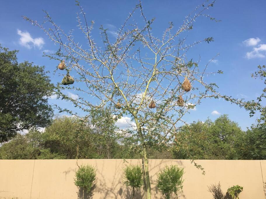 Spacious home on a golf estate