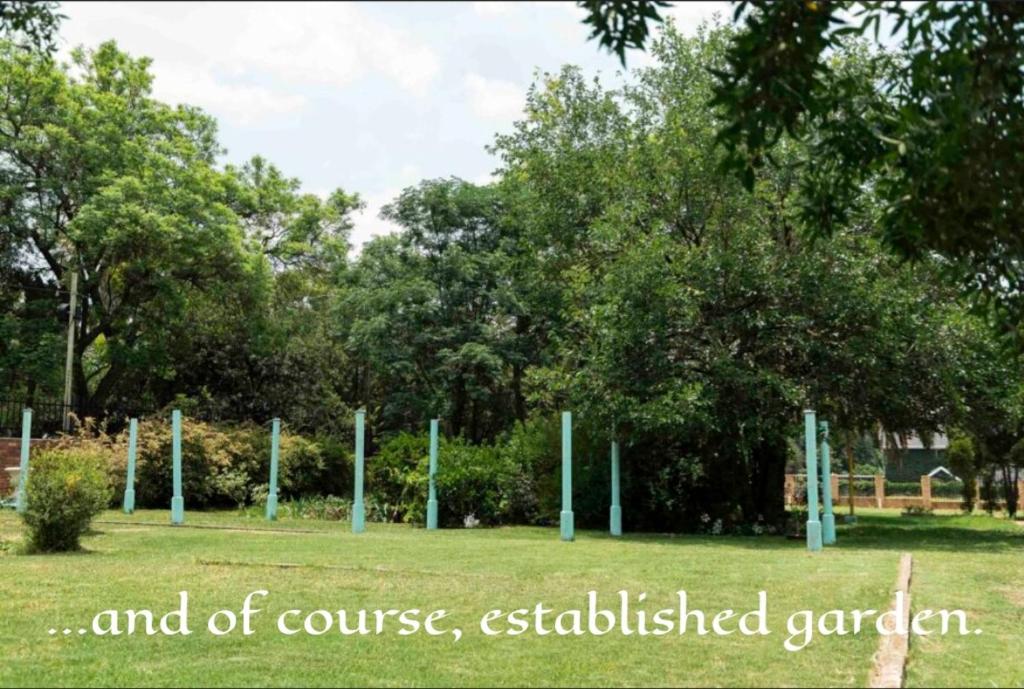 هتل ده سالوج گاردن - The Salvage Garden