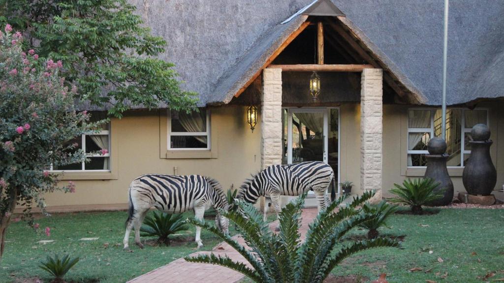 هتل لا بارون گیم لودج La Barune Game Lodge