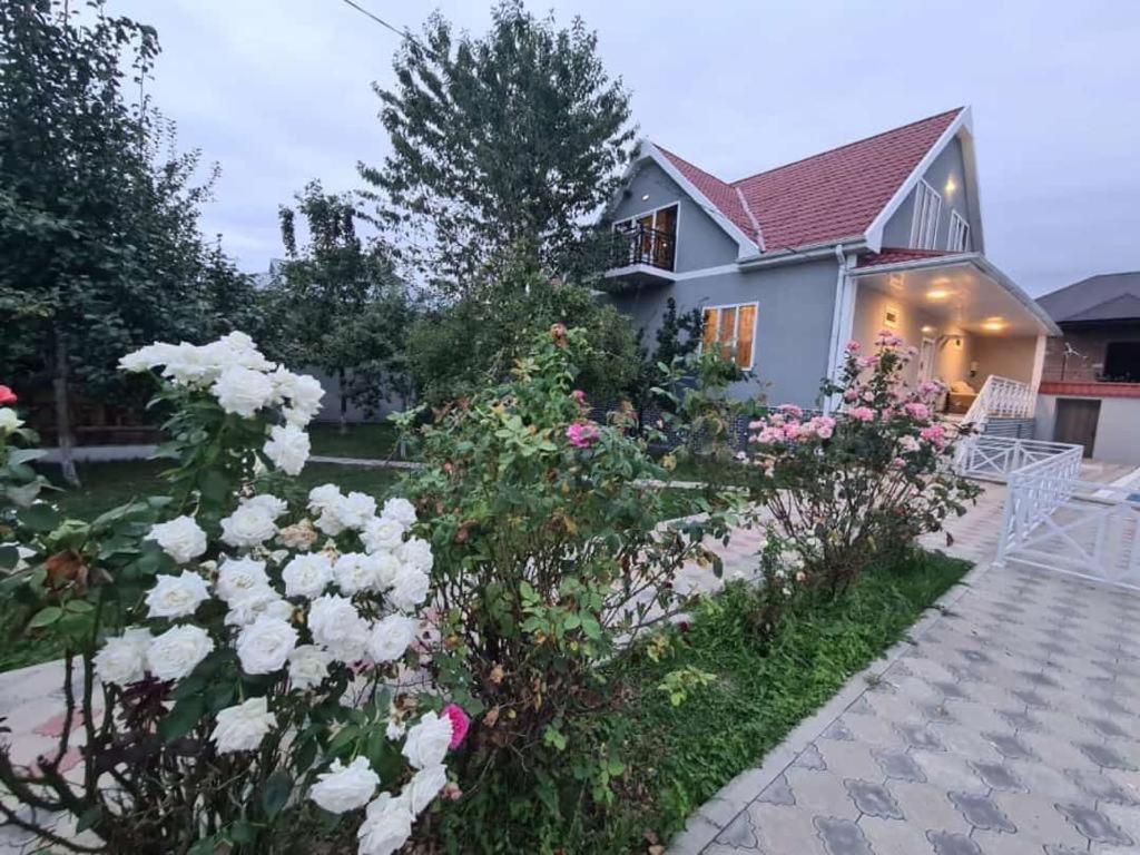 هتل ویلا / ویلا ВИЛЛА / VILLA