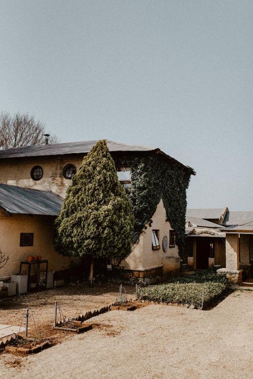 هتل آفریکن لیوز ترات لودج African Leaves Trout Lodge