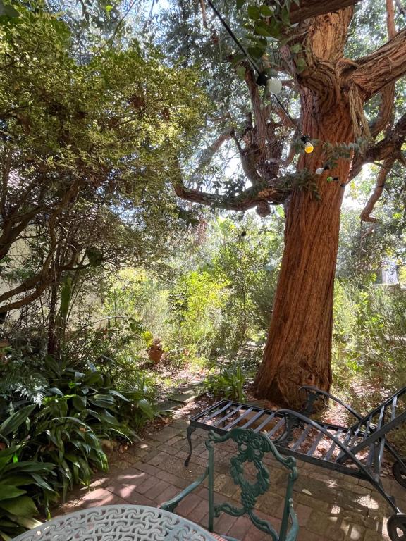 هتل کانستانتیا گوست هاوس Constantia Guest House