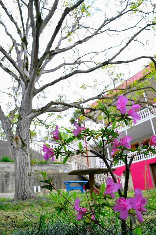 هتل سوفیا گست هاوس Sofia Guest House