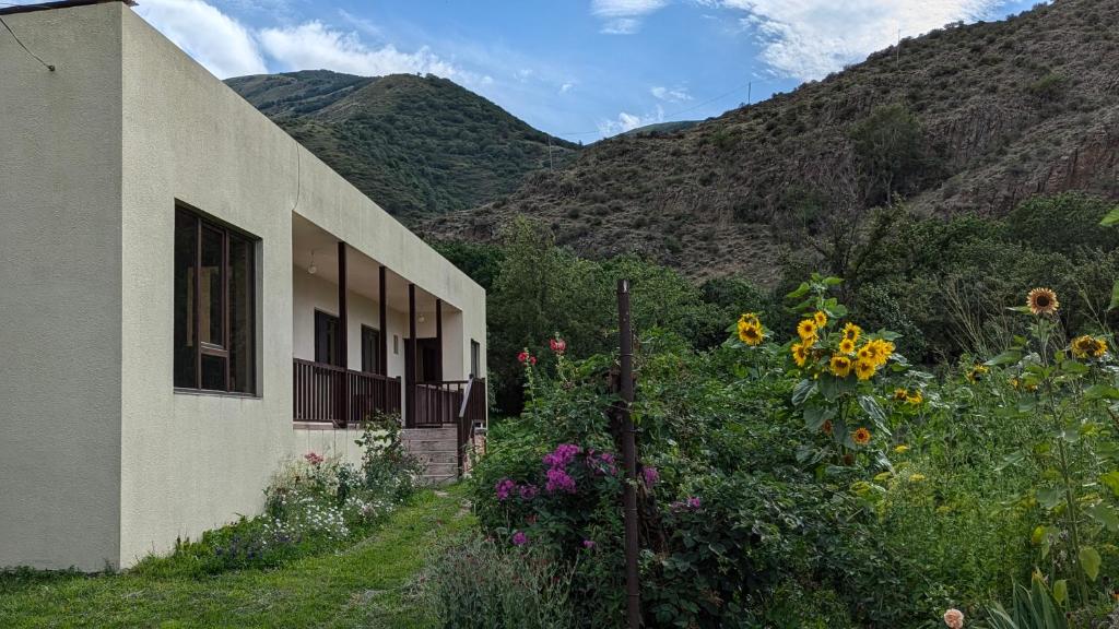 هتل بی هاوس Bee House