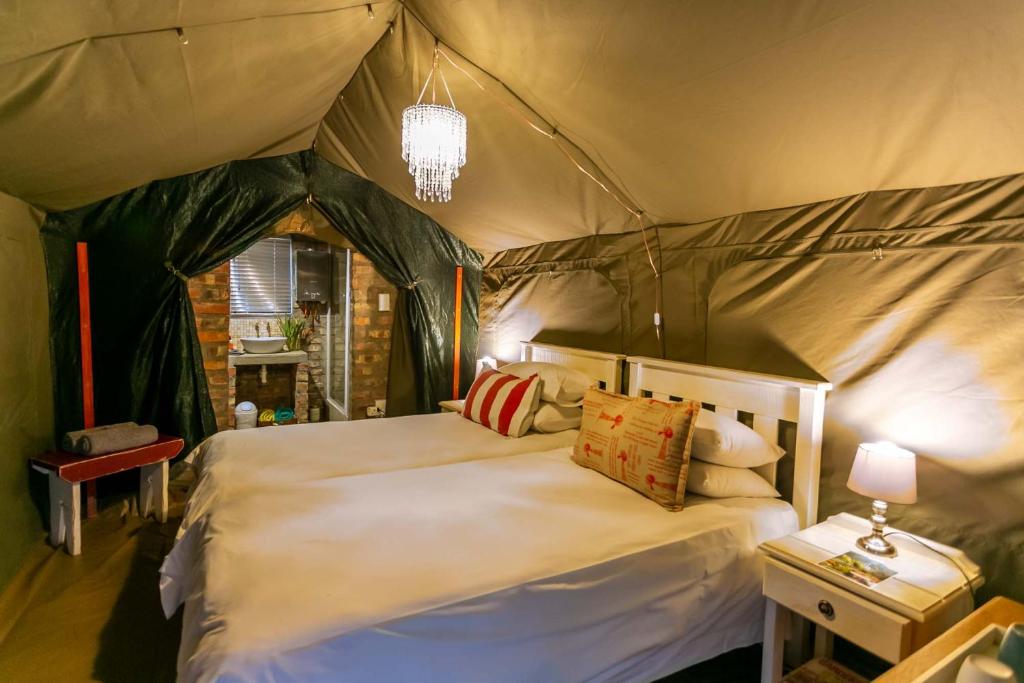 هتل شومازهوک گلامپینگ Schoemanshoek Glamping