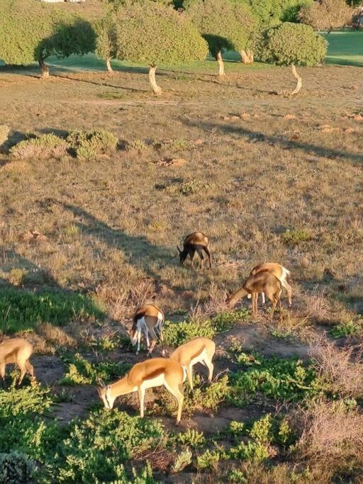 Golfers Haven Studio Apartment