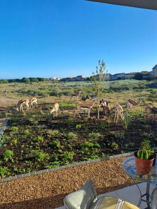 Golfers Haven Studio Apartment