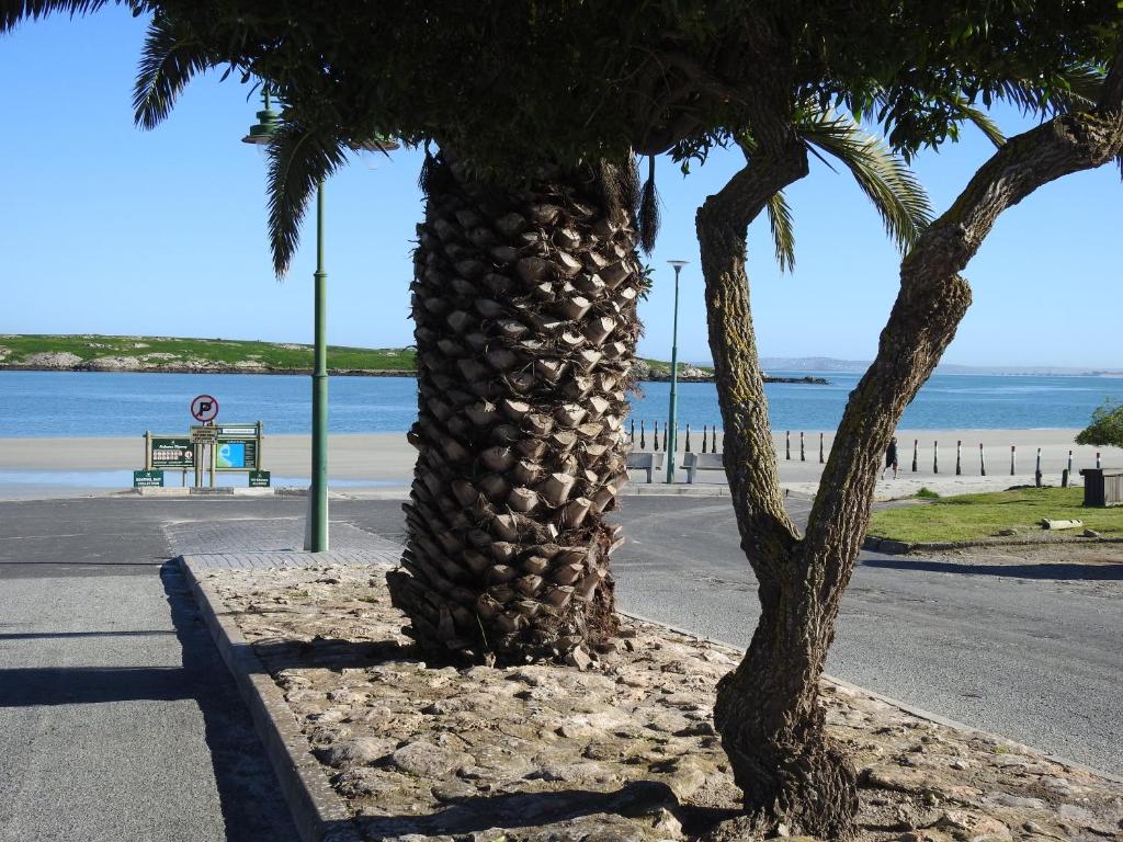 Golfers Haven Studio Apartment