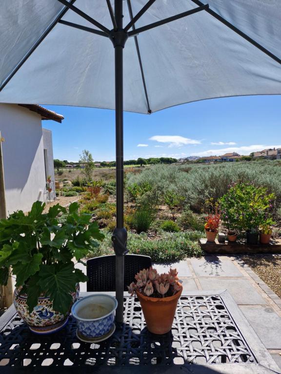 Golfers Haven Studio Apartment