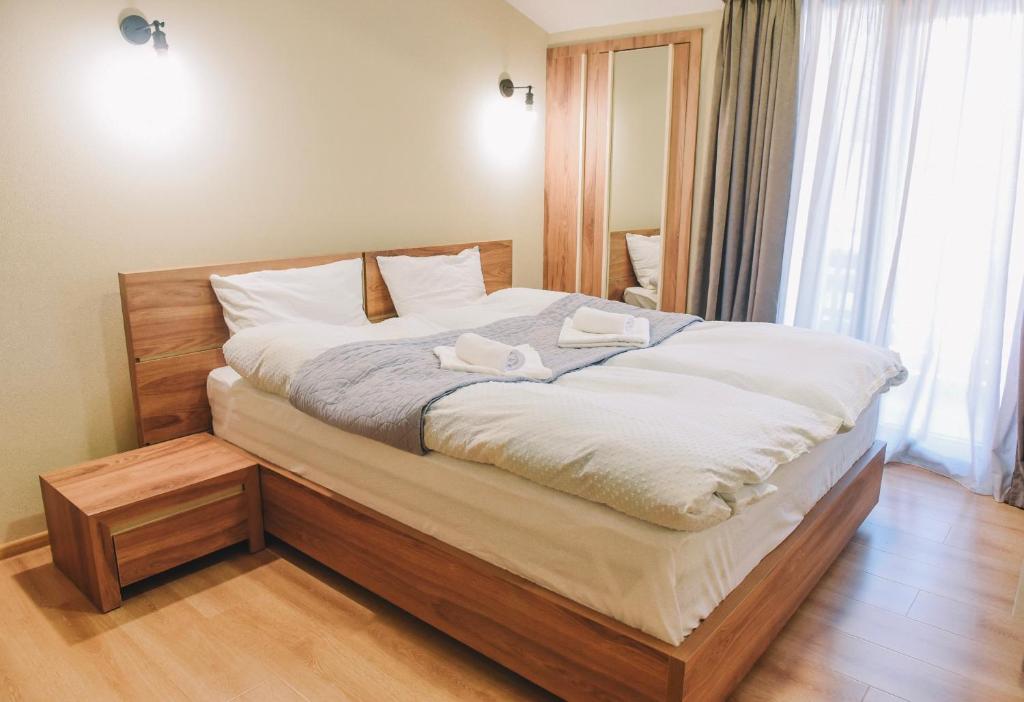هتل مارکوس فلات این باکورینی این - MaRKoS flat in Bakuriani Inn