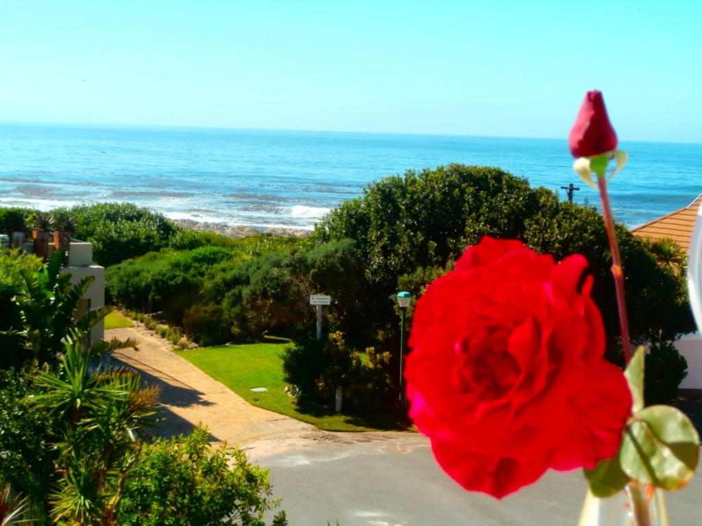 هتل بل ویو گست هاوس Belle Vue Guesthouse